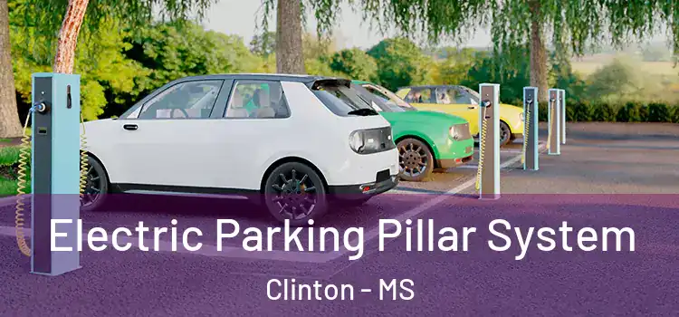  Electric Parking Pillar System Clinton - MS