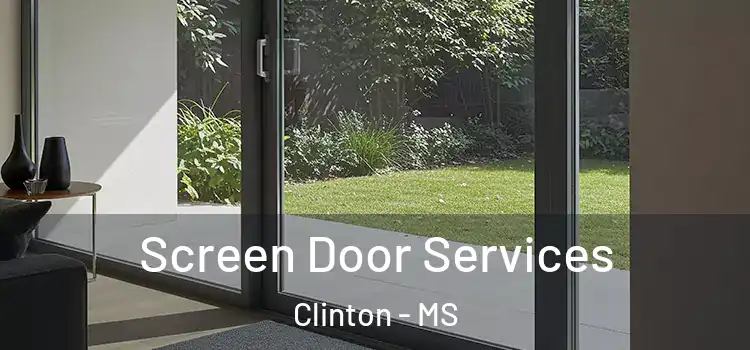Screen Door Services Clinton - MS